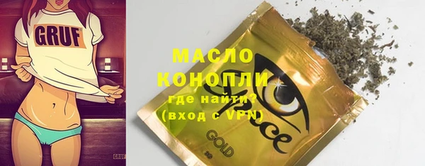 мдпв Гусев