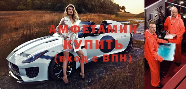 мдпв Гусев