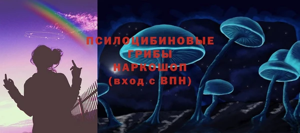 мдпв Гусев