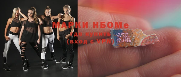 мдпв Гусев