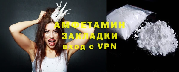 мдпв Гусев
