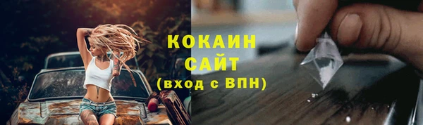мдпв Гусев
