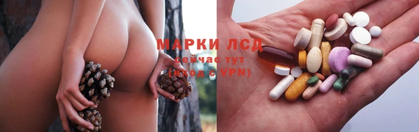 мдпв Гусев