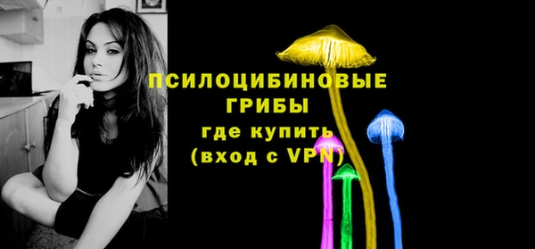 первитин Гусь-Хрустальный