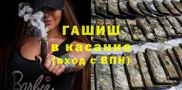 мдпв Гусев