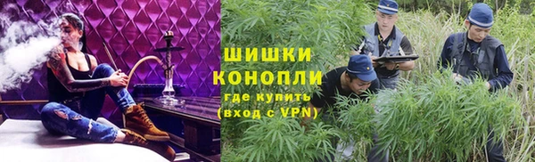мдпв Гусев