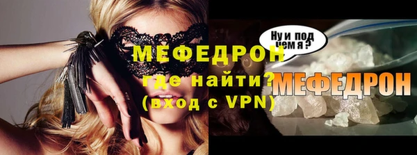 мдпв Гусев